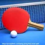 Ping Pong Fury Mod APK